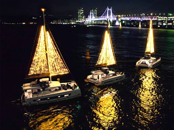 Yacht trees lit up before the Gwangan Bridge night view