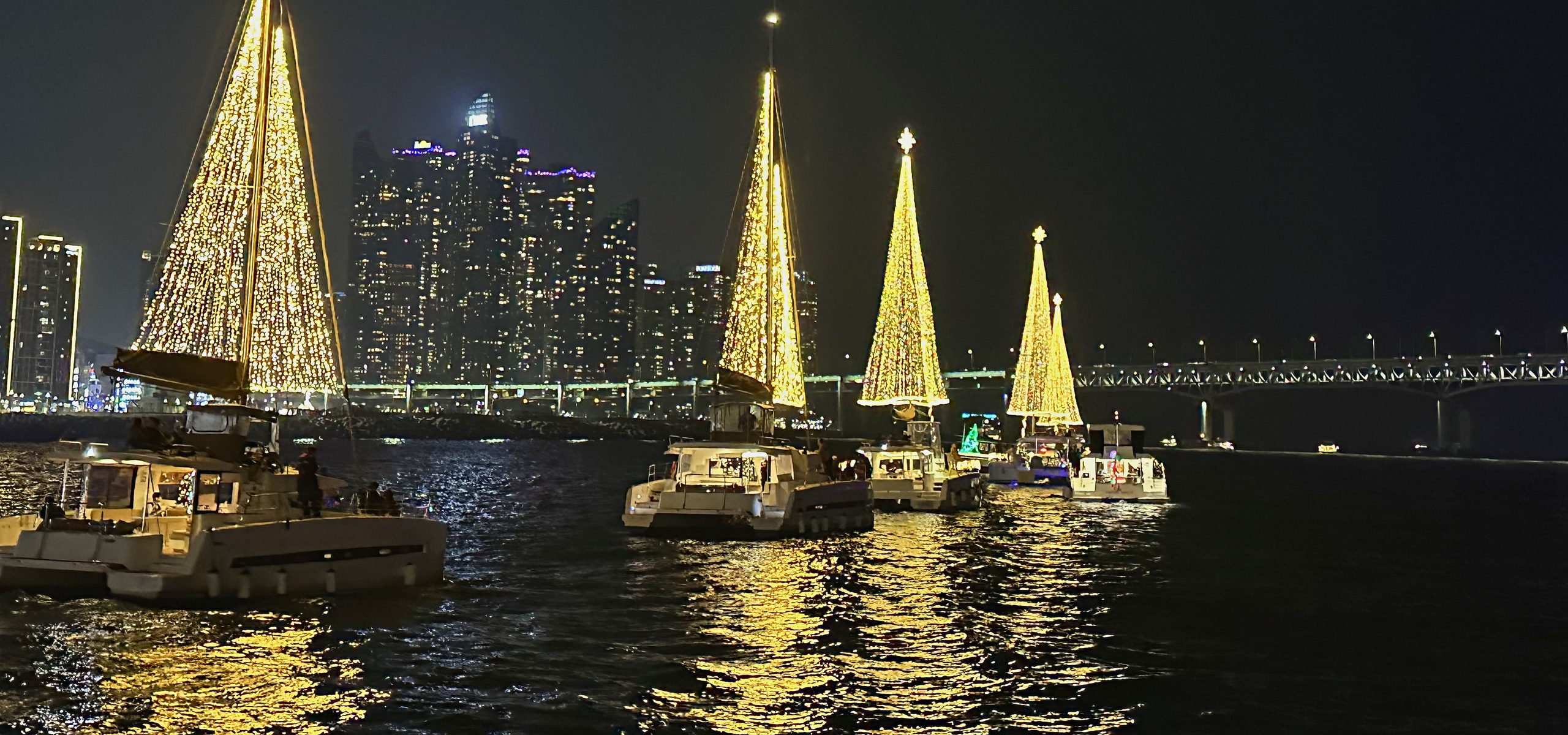 The lit-up yacht tree and the Marine City night view