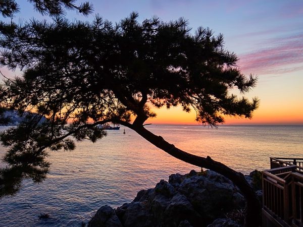 Dongbaek Island · Nurimaru