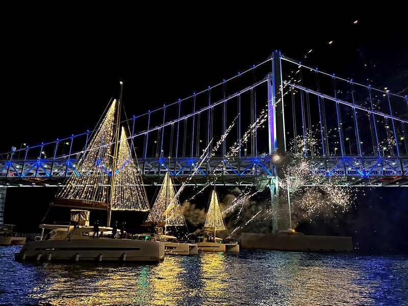 A passenger on the yacht watching fireworks burst above Gwangan Bridge